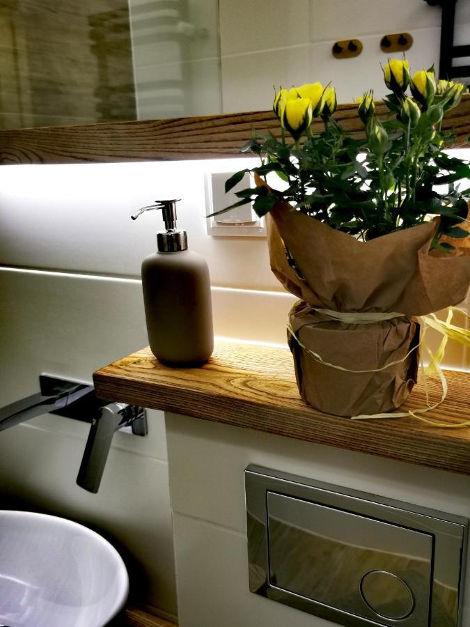 Apartament Przy Arsenale วรอตซวาฟ ภายนอก รูปภาพ
